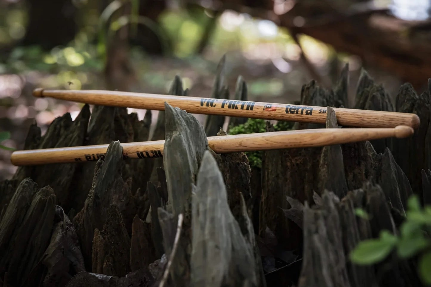 Vic Firth Terra 5B Drum Stick, Wood Tip