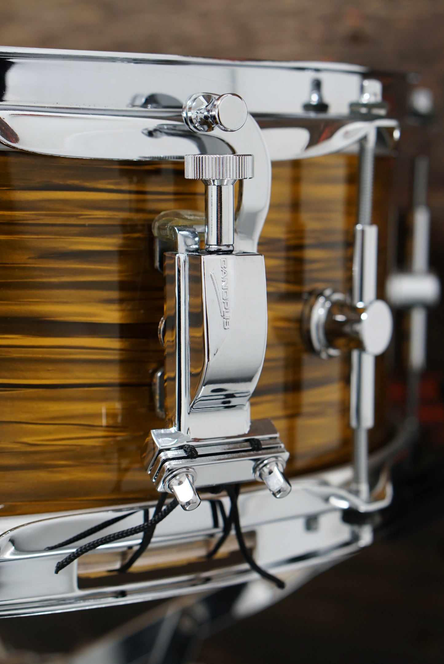 Canopus 5.5x13" Birch Snare Drum - Gold Oyster Pearl