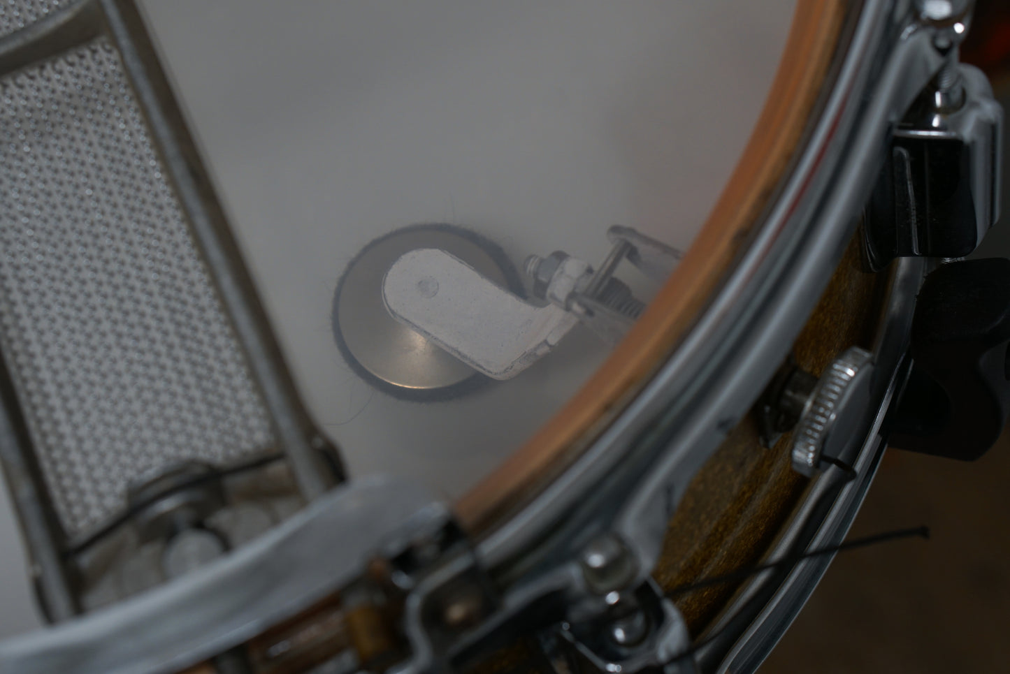 Rogers 5x14" Dynasonic Wood Snare Drum - 1960s Gold Sparkle Pearl
