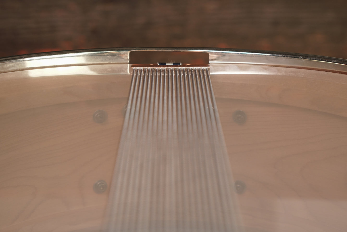 Craviotto 5.5x14" Timeless Timber SPL "Fromm" Solid Birch Snare Drum