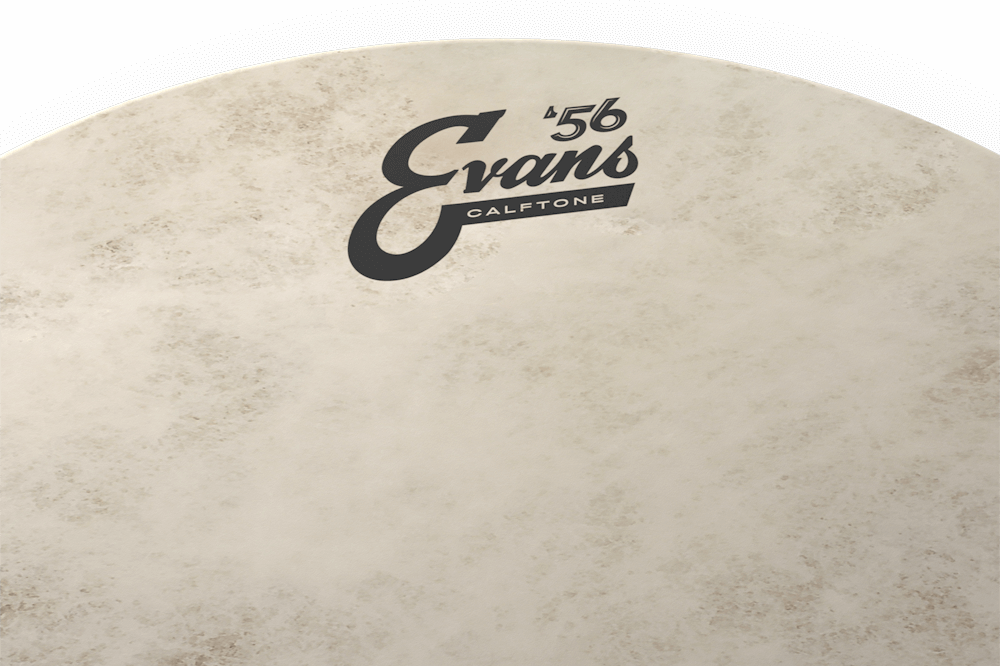 Evans Calftone '56 Batter Drum Head