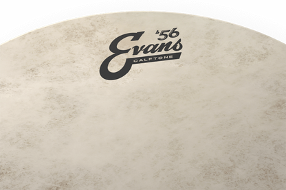 Evans Calftone '56 Batter Drum Head